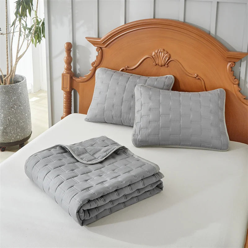 Quilted Coverlet Set