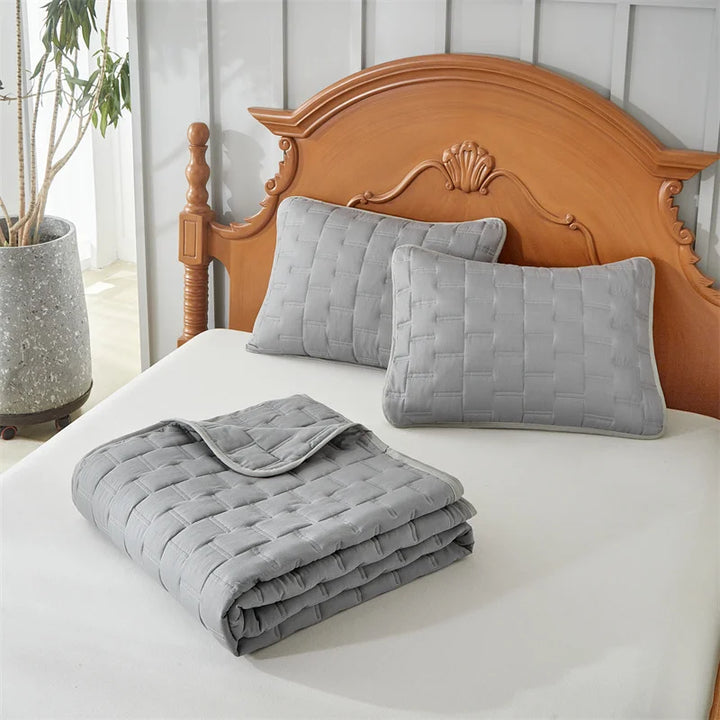 Quilted Coverlet Set