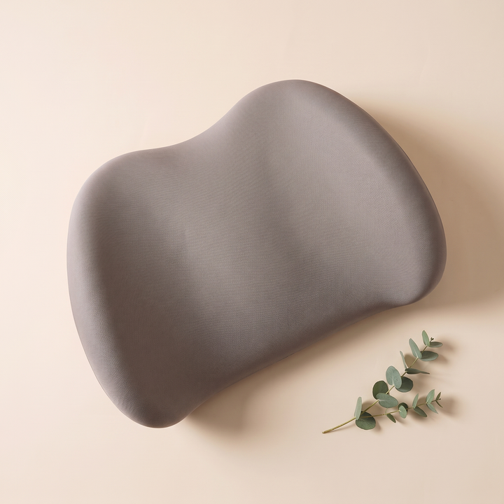 Memory Foam Lumbar Pillow in Taupe – flat lay from above with a eucalyptus sprig on peach background